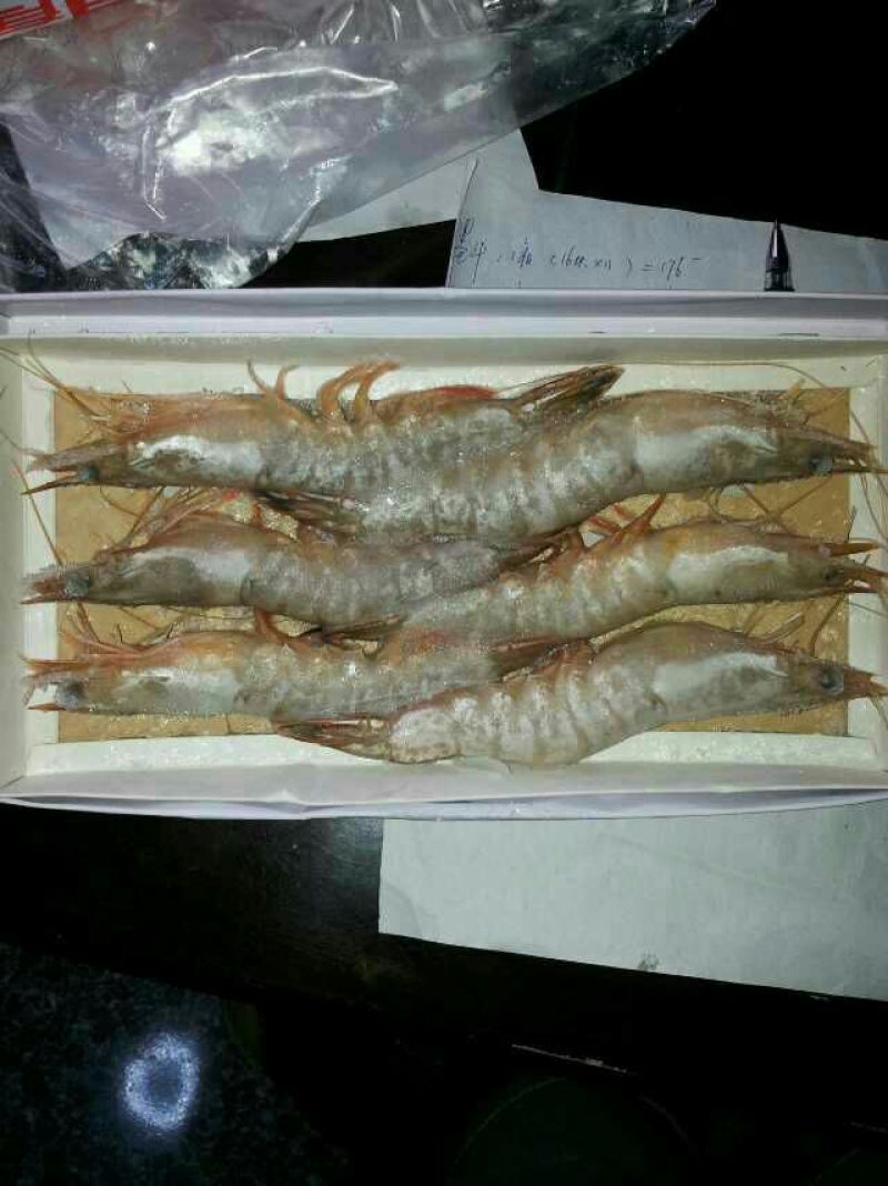 南美白对虾食用冻虾