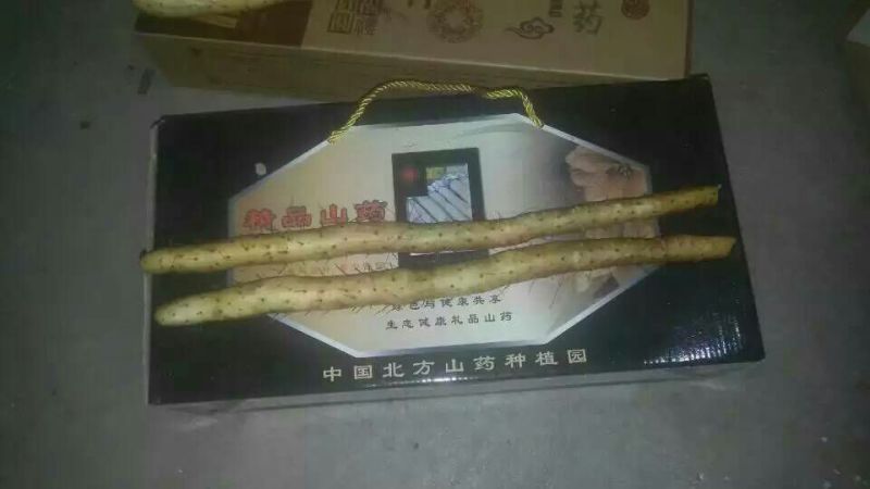 棒药麻山药，口感软糯肉质细腻，蒸煮烹炖的均可