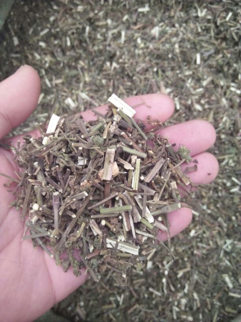 荆芥统片