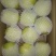 雪花梨250~300g纸箱