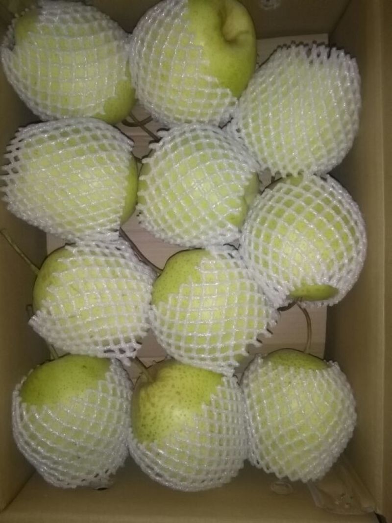 雪花梨250~300g纸箱