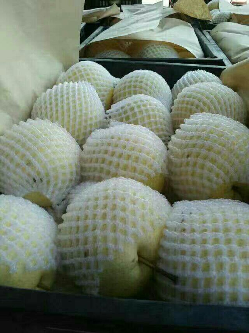 贡梨200~250g纸袋