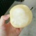 礼泉酥梨60~100g纸箱