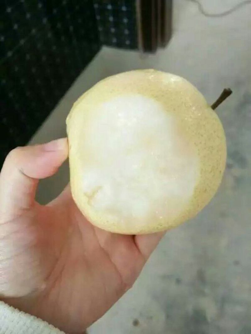 礼泉酥梨60~100g纸箱