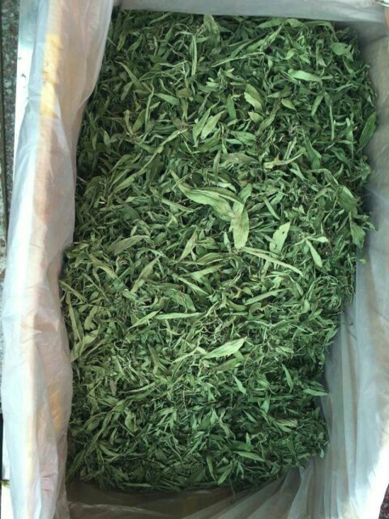 甜叶菊精选