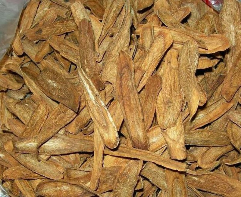 牛蒡茶牛蒡干新鲜牛蒡