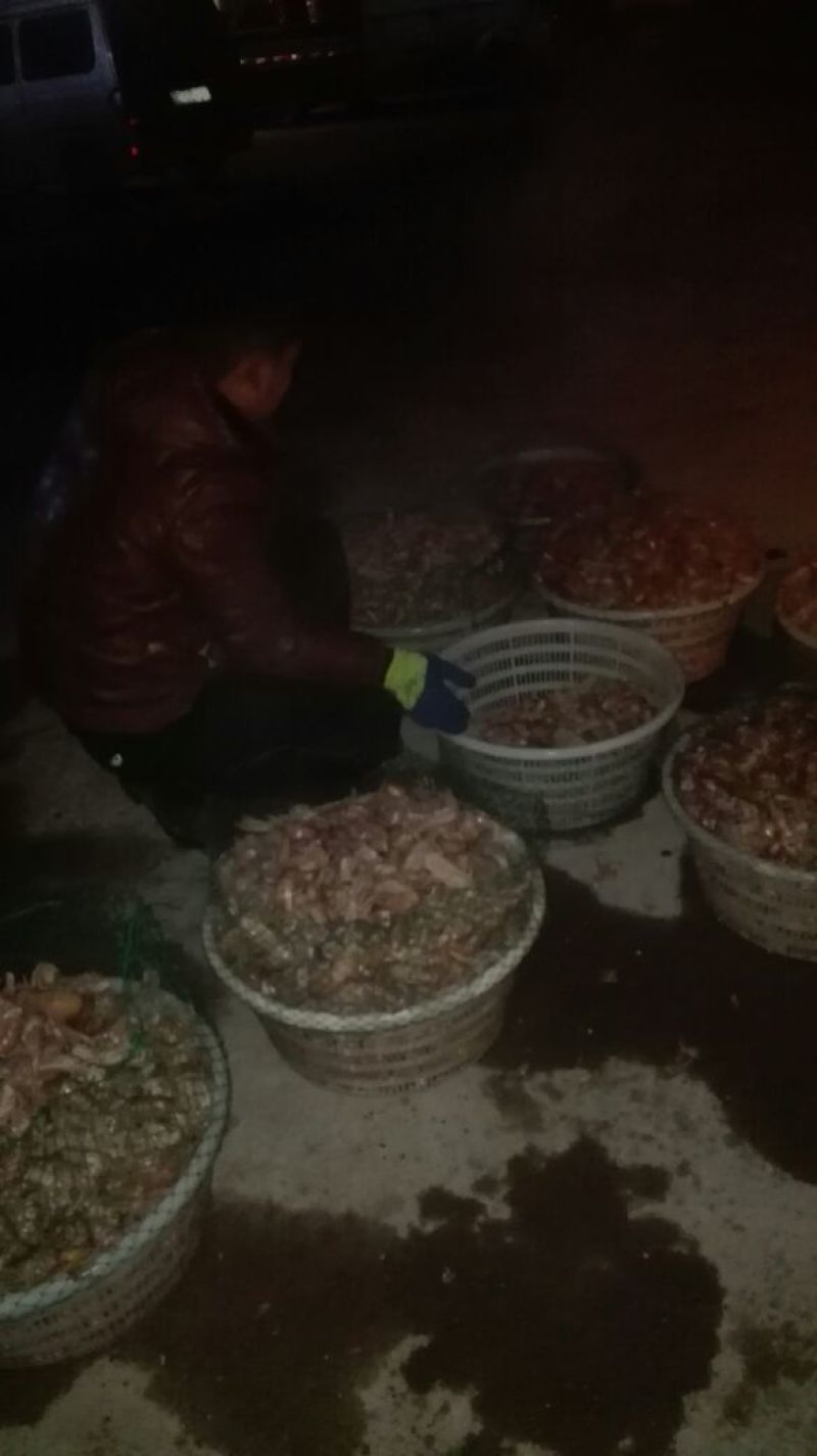 皮皮虾冻虾