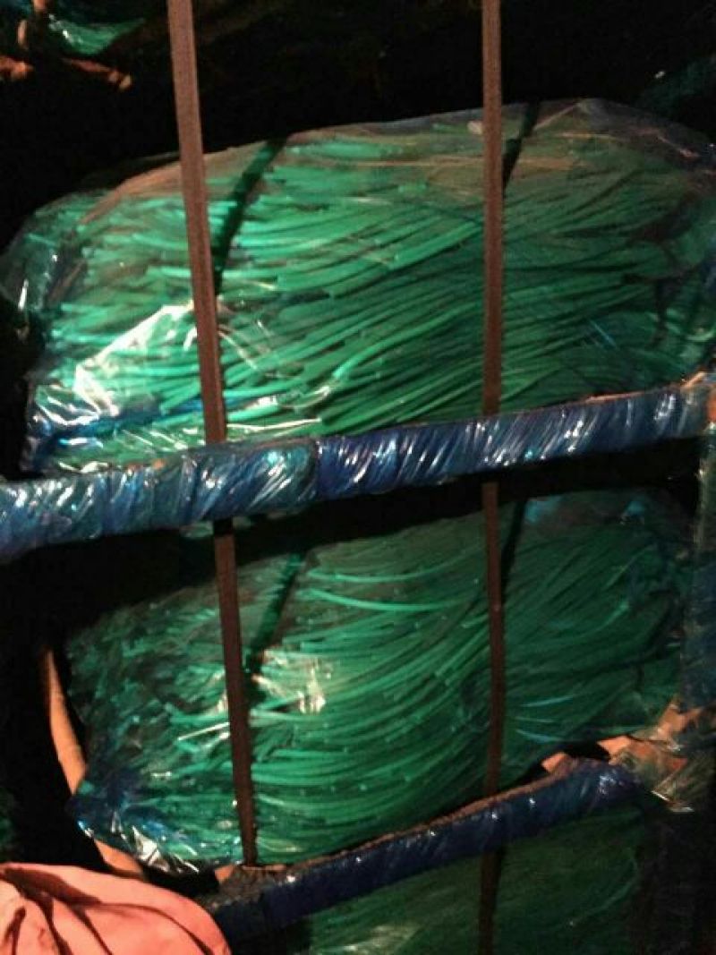 产地直供蒜苔精品40~60cm。产地直销，量大质优