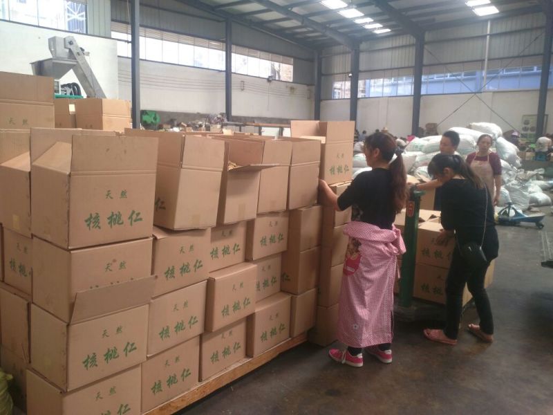 纸皮核桃30mm以上去皮干