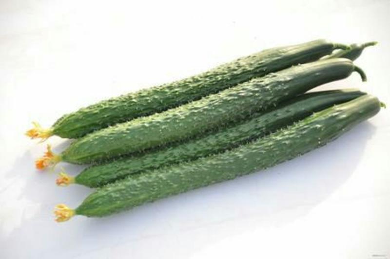 中农106黄瓜鲜花带刺25公分以上品质好质量优