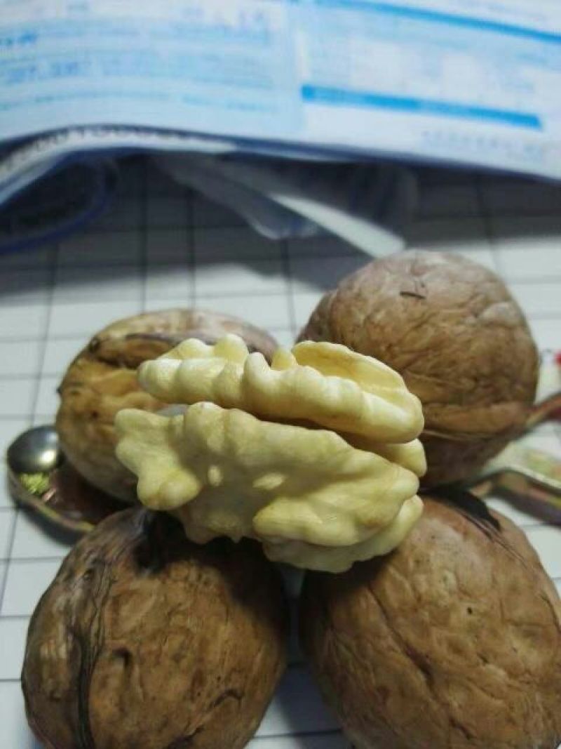 青皮核桃30mm以上青皮