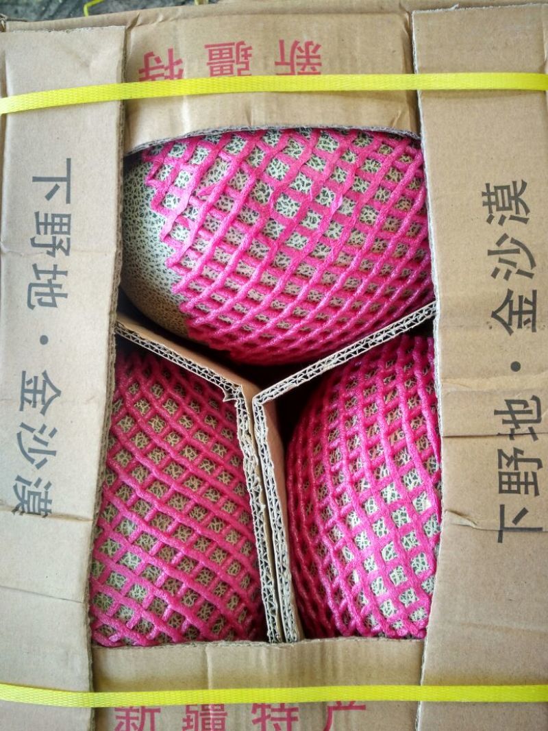 西州蜜瓜3斤以上椭圆形
