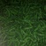 毛豆18~24克