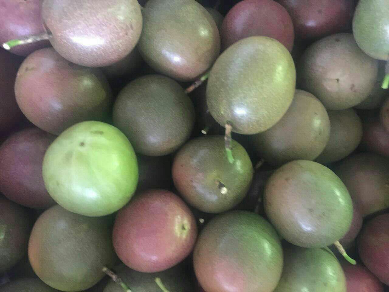 广西崇左市凭祥市鸡蛋果百香果 紫果 80~90g批