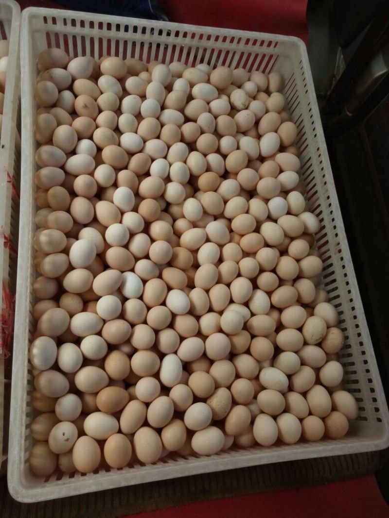 普通鸡蛋食用50~60g