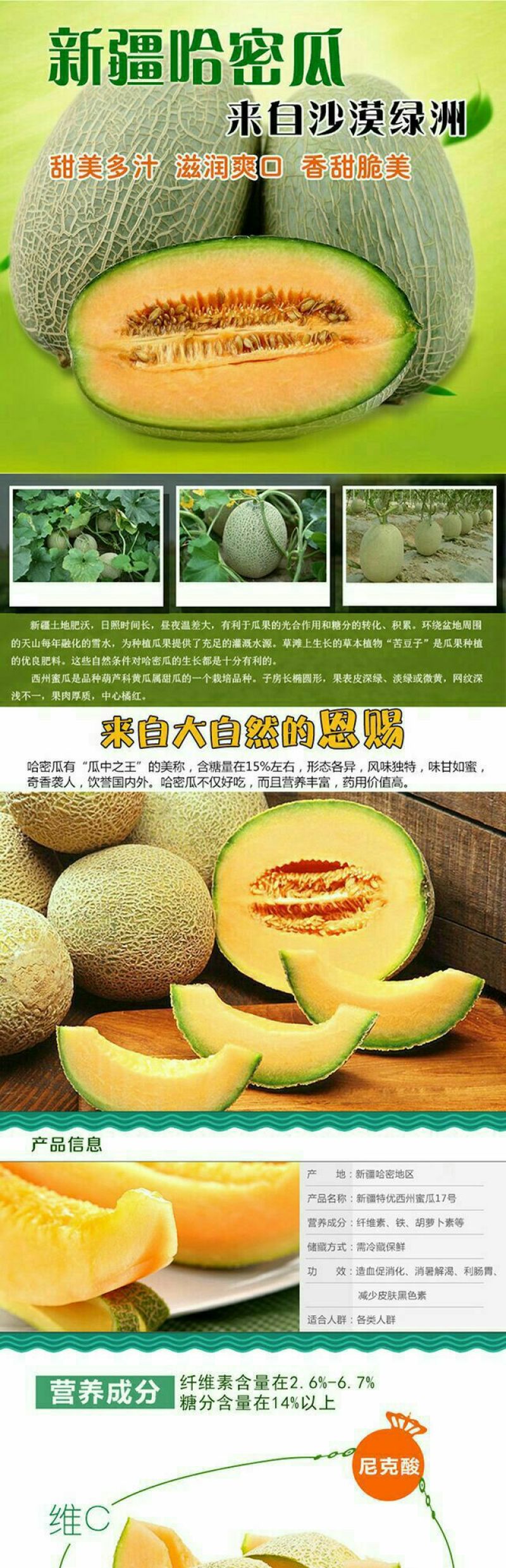 西州蜜瓜5斤以上椭圆形