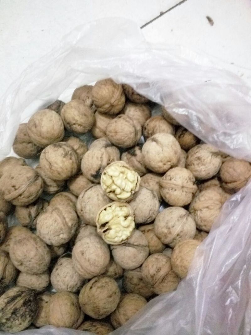 薄皮核桃去皮