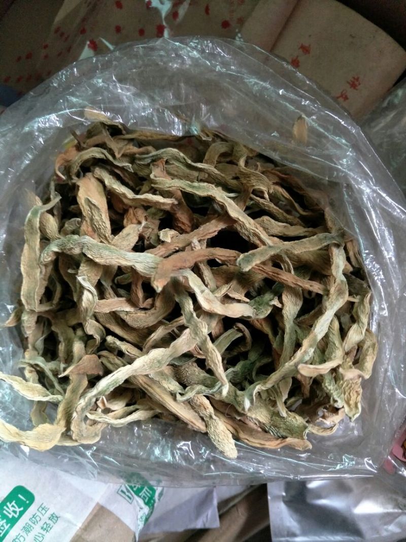 树仔菜