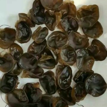 黑木耳特级