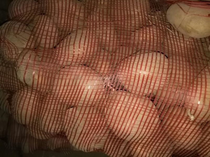 马铃薯淀粉袋装