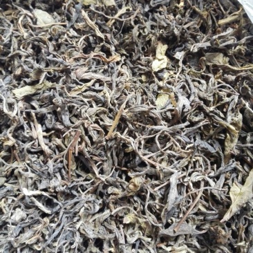 百年大树茶