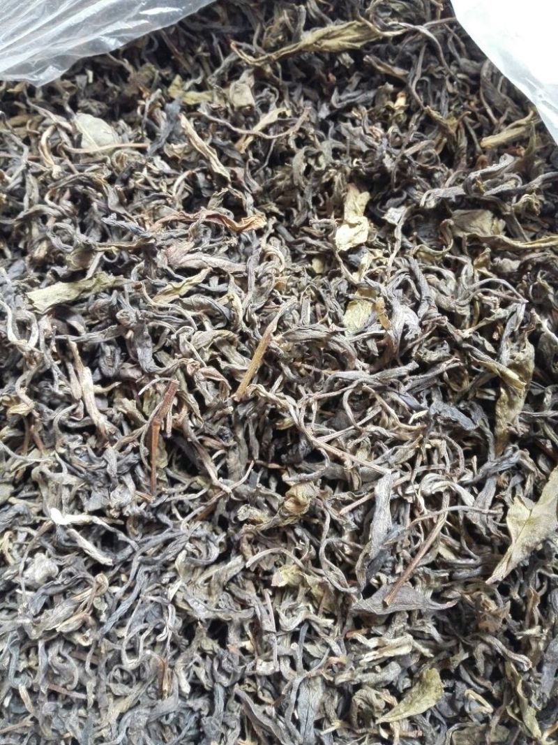 百年大树茶