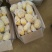 山东土豆荷兰十五！沃土！v7库存货开始出库供应代发