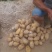 皇冠梨60~100g纸加膜