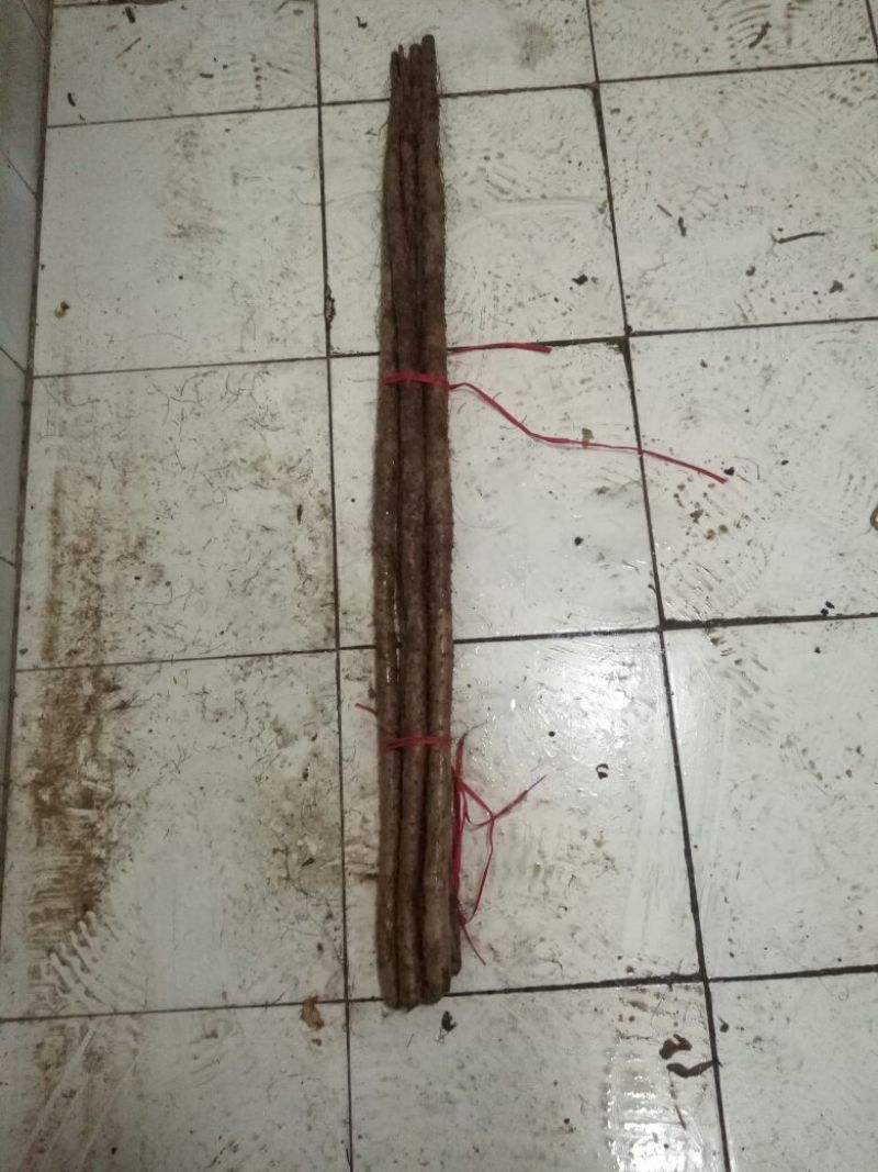 铁棍山药2~3厘米一级通货50~70厘米