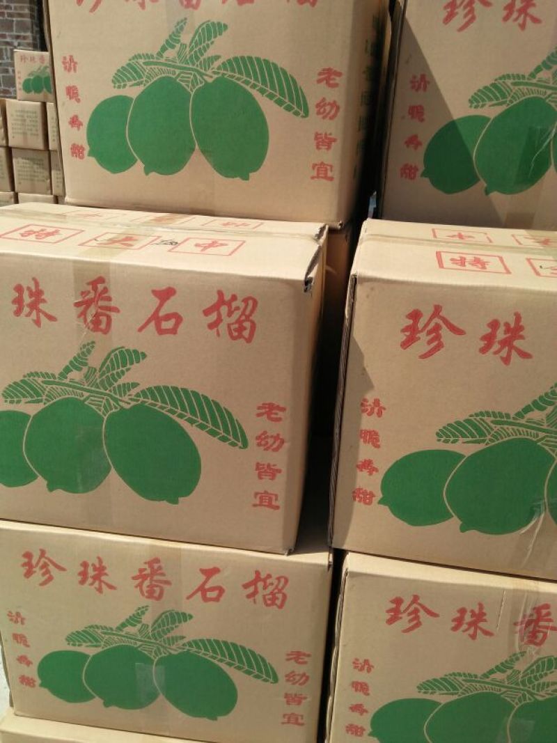 番石榴60~70mm白心
