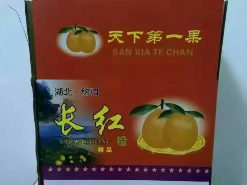 长虹脐橙产地热卖，颜色亮丽，口感纯正承接各地店商与批发商