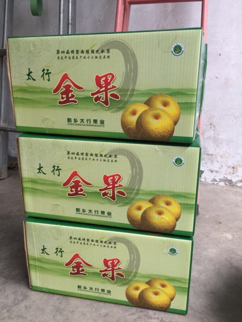 晚秋黄梨