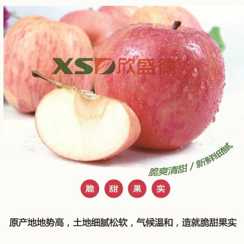 红富士苹果60mm以上纸+膜袋