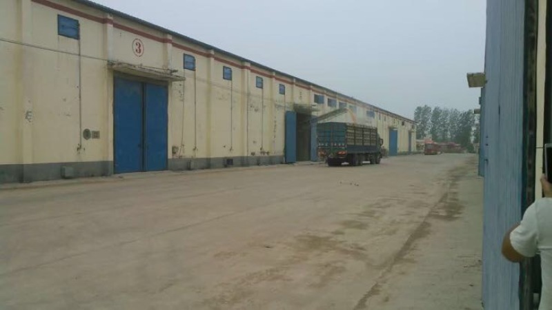 玉米粒邯郸全国代发欢迎实地考察