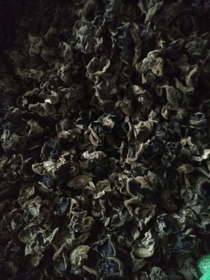 黑木耳一级