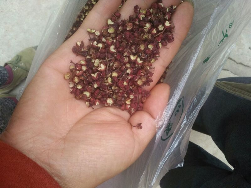 花椒特级干