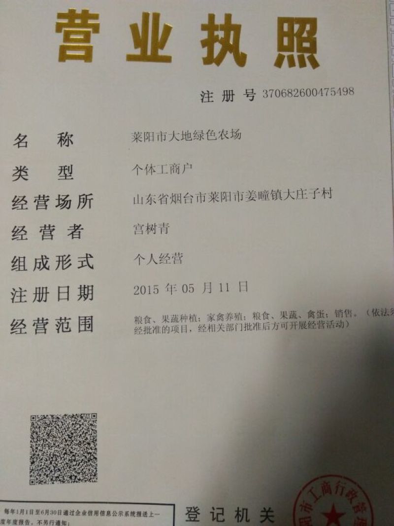 秋月梨450~500g纸箱