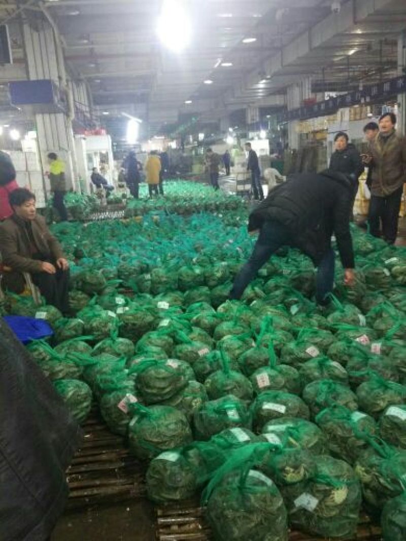 精品礼盒母蟹精挑套餐价格