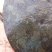 生态甲鱼