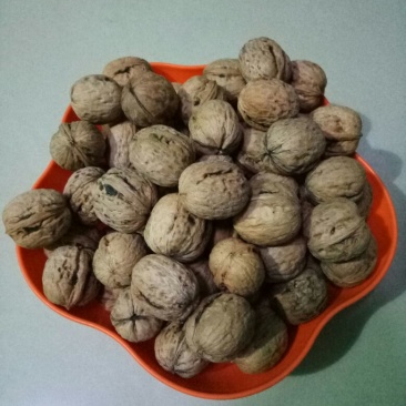 薄皮核桃30mm以上去皮干