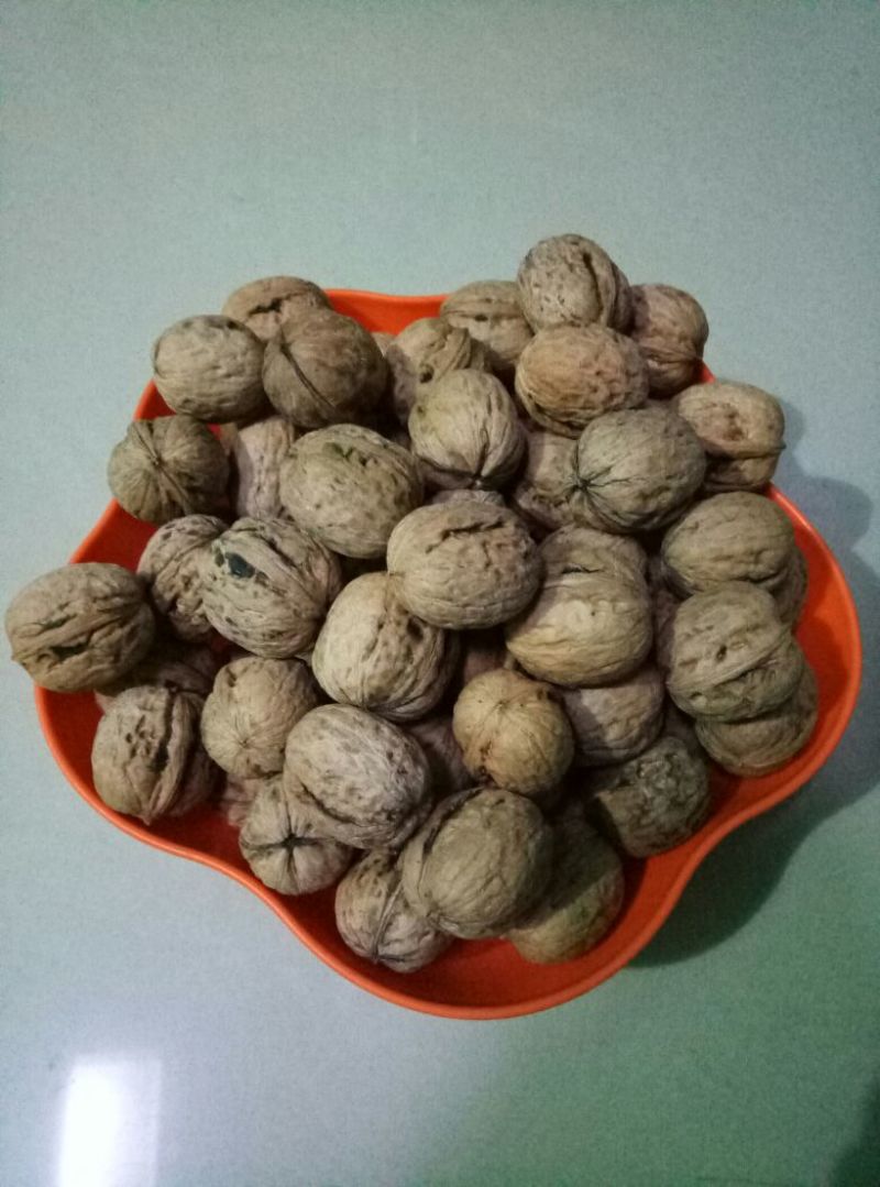 薄皮核桃30mm以上去皮干