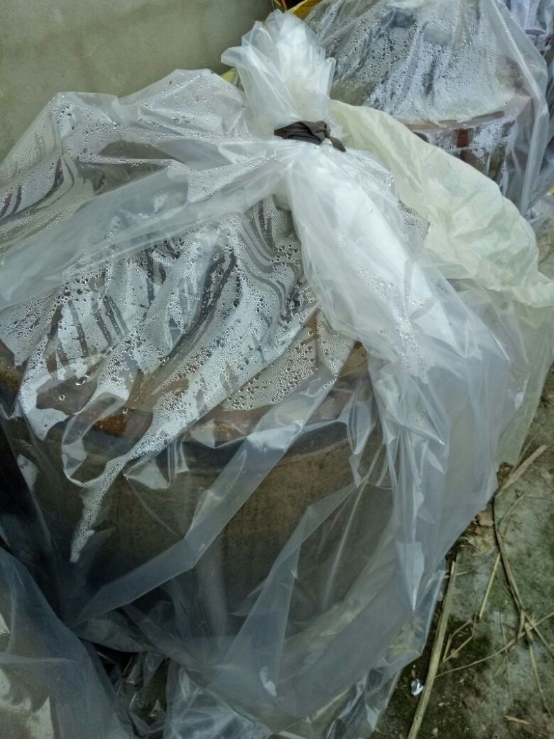 酸菜盐水浸泡散装