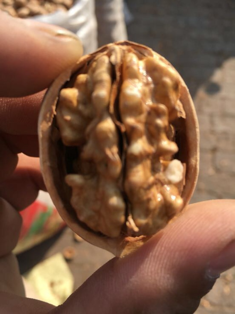 薄皮核桃