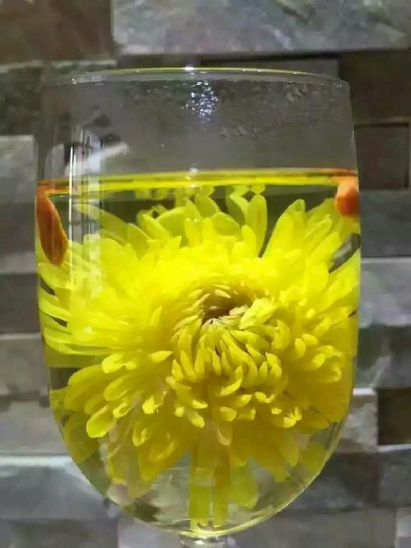 菊花茶