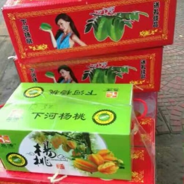 小果甜杨桃3~4两