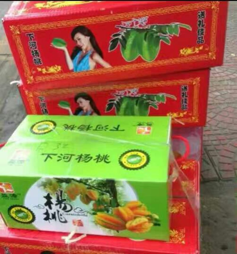 小果甜杨桃3~4两