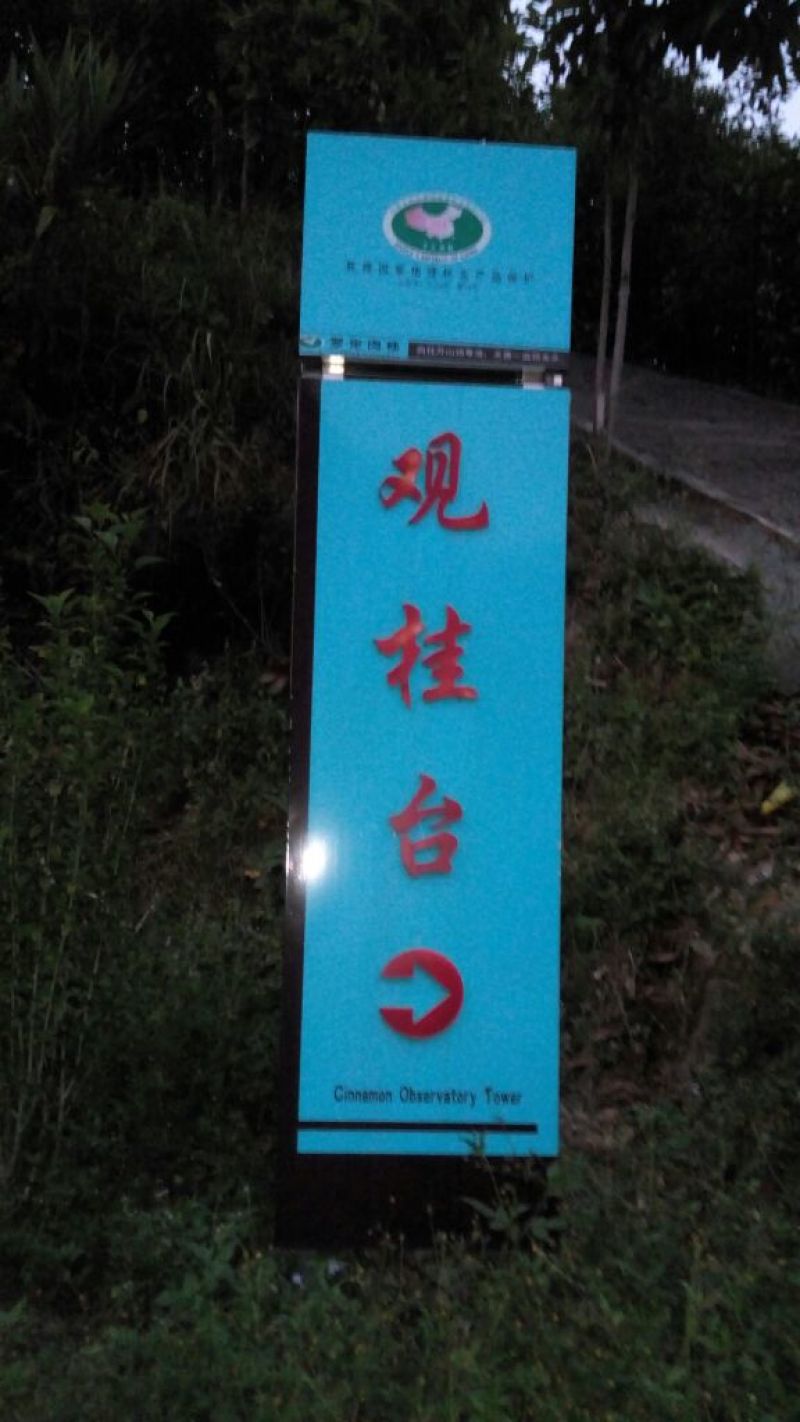 桶桂散装统货