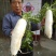 白玉春白萝卜2~2.5斤起