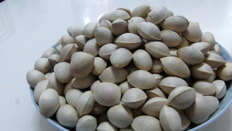 银杏果，银杏种子，白果种子，白果