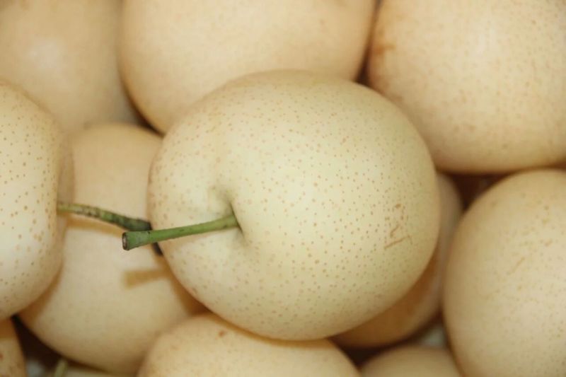 皇冠梨250~300g光果